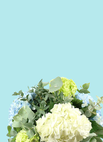 Same day Flowers Battersea